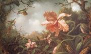 Martin Johnson Heade The Hummingbirds and Two Varieties of Orchids oil painting on canvas